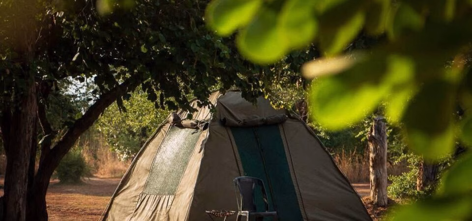 Roy’s Kafue Camps